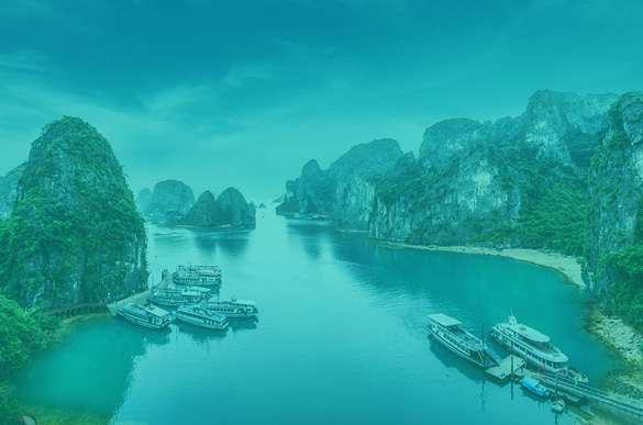 Trang chủ