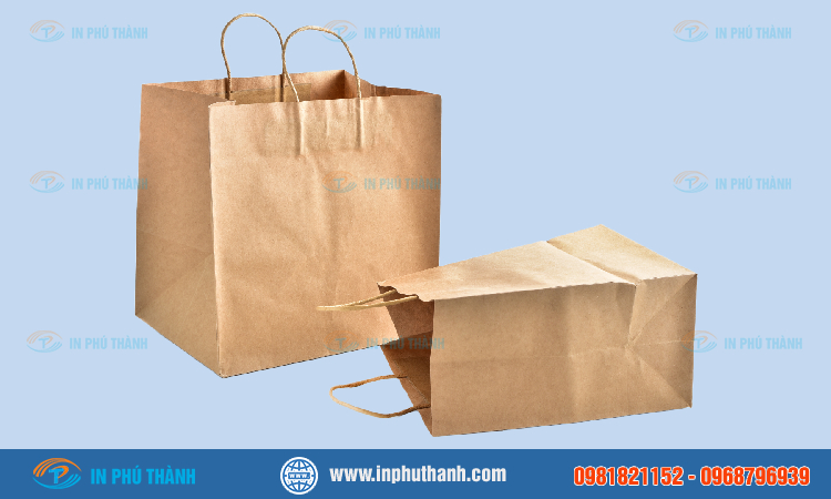 Túi giấy đựng rau củ quả nhiều mẫu thiết kế đẹp - In Phú Thành Túi giấy đựng rau