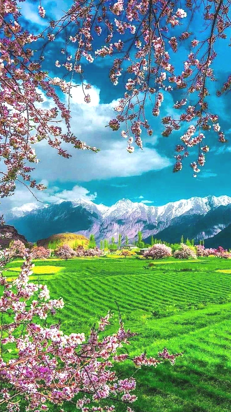hinh-nen-thien-nhien-dep-cho-dien-thoai_1706087893 Hình nền đẹp cho điện thoại