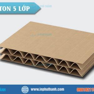 Hộp carton 5 lớp