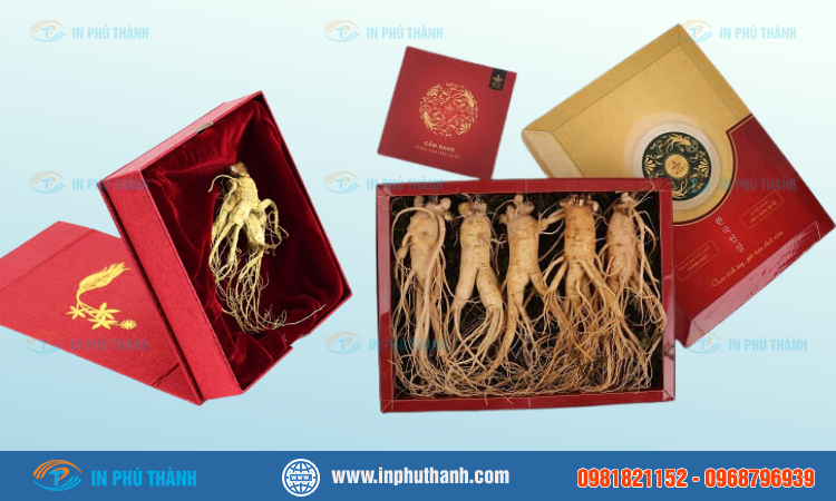 HỘP ĐỰNG HỒNG SÂM GIẤY CỨNG IN LOGO ĐẸP