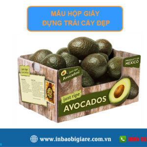 Hộp giấy đựng trái cây