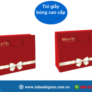 Túi giấy màu đỏ