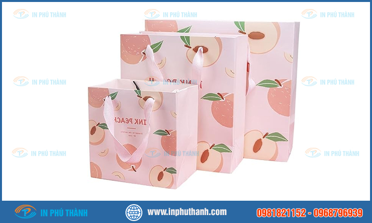 Túi giấy đựng hoa quả nhiều mẫu đẹp thiết kế theo yêu cầu - In Phú Thành