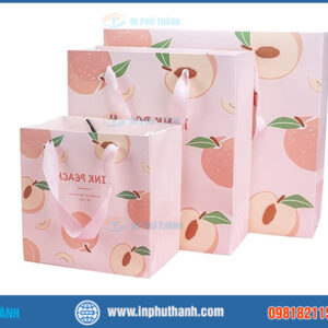 Túi giấy đựng hoa quả