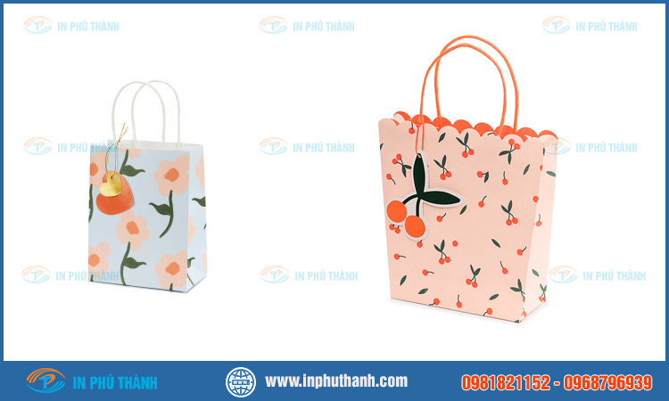 Túi giấy đựng hoa quả nhiều mẫu đẹp thiết kế theo yêu cầu - In Phú Thành