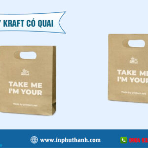 Túi giấy kraft có quai