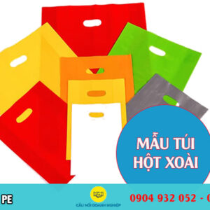 Túi hột xoài