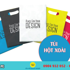 Túi hột xoài